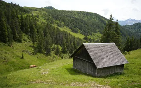 Symbolbild: A picturesque alpine scene featuring a rustic wooden cabin and lush green hills under a clear sky.