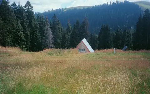 Symbolbild: A peaceful cabin nestled in a grassy meadow surrounded by lush forests and mountains, perfect for tranquil escapes.