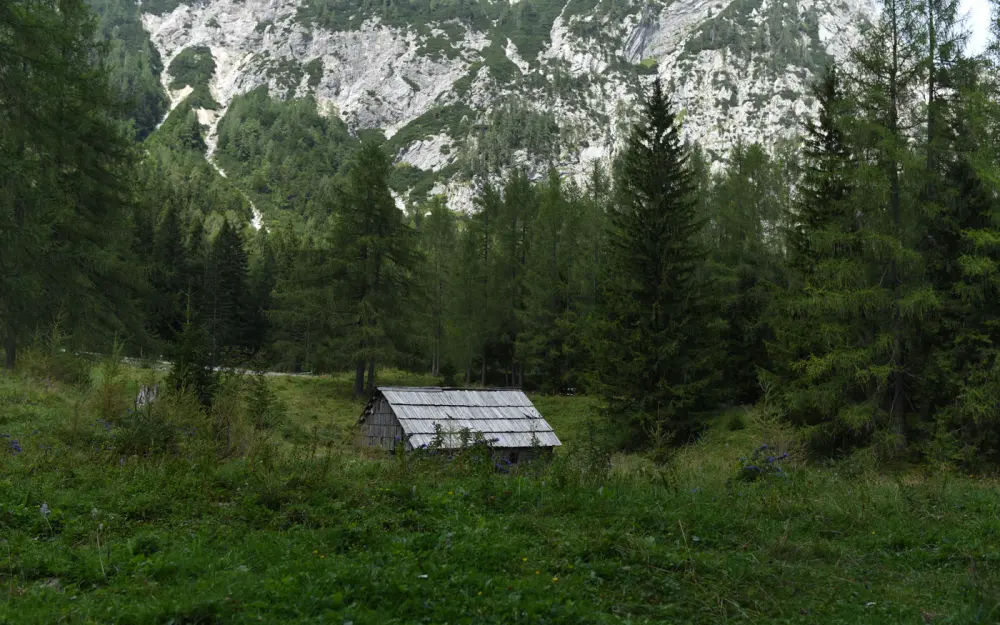 Symbolbild: A scenic view of a rustic cabin surrounded by lush green forest and mountains.