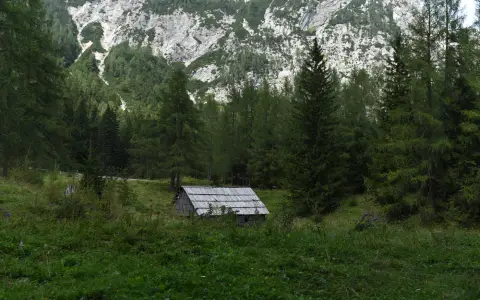 Symbolbild: A scenic view of a rustic cabin surrounded by lush green forest and mountains.