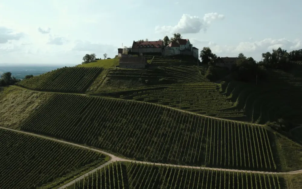 Symbolbild: Stunning drone view of Schloss Staufenberg surrounded by lush vineyards in Germany.
