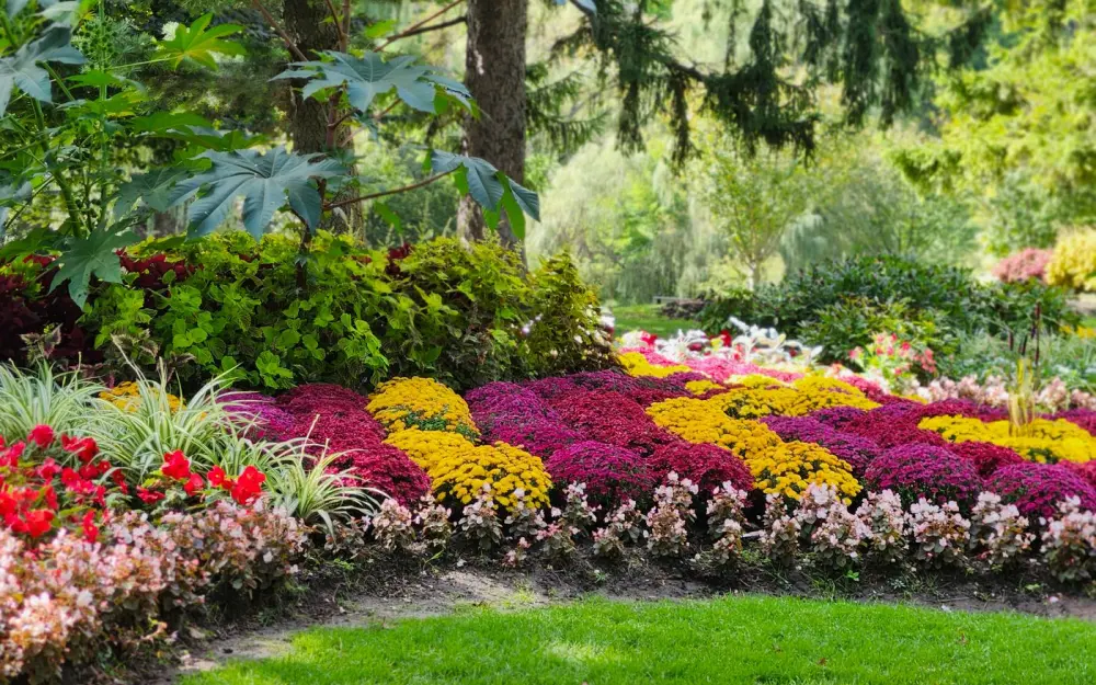 Symbolbild: Colorful garden with lush foliage and blooming flowers in a Toronto park.