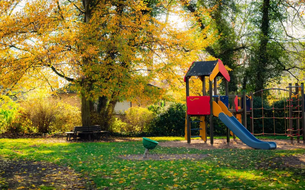 Symbolbild: Bright playground equipment with autumn leaves in a park setting.