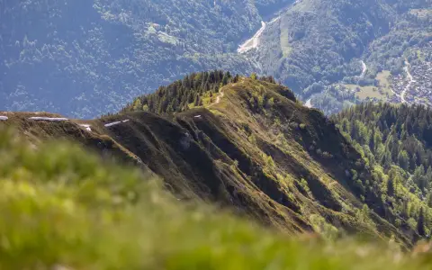 Symbolbild: A breathtaking view of Chamonix mountains with lush landscapes in spring.
