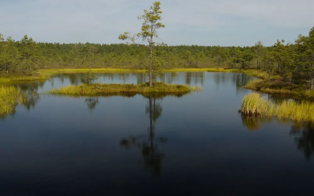 Symbolbild: A tranquil scene of a small island in a serene lake surrounded by lush trees and clear reflections.