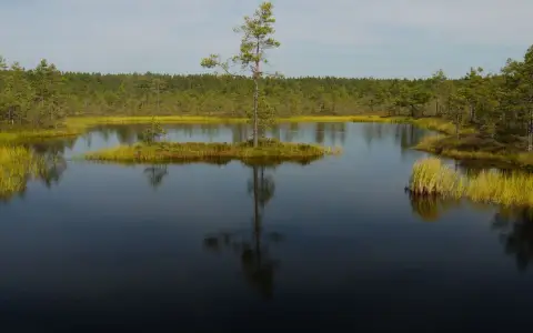 Symbolbild: A tranquil scene of a small island in a serene lake surrounded by lush trees and clear reflections.