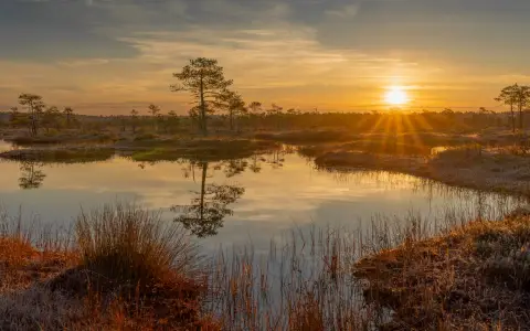 Symbolbild: A stunning sunrise over a tranquil marsh with reflections in the water, showcasing nature's beauty.