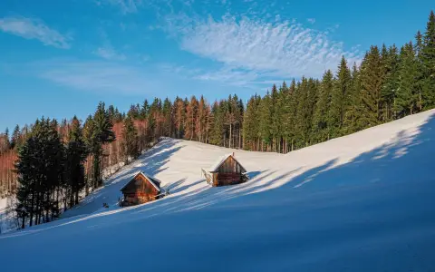 Symbolbild: Majestic winter scene of snow-covered huts in Brașov, Romania, amidst dense forest.