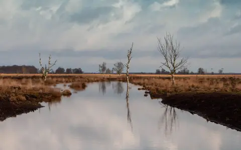 Symbolbild: Peaceful moorland vista with a reflective lake, bare trees, and dramatic clouds in Drenthe, Netherlands.