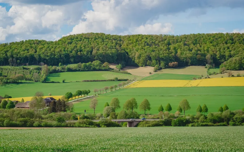 Symbolbild: A vibrant rural scene of lush fields and forests in Lower Saxony, Germany.
