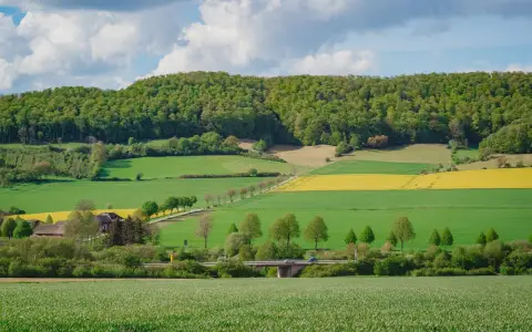 Symbolbild: A vibrant rural scene of lush fields and forests in Lower Saxony, Germany.
