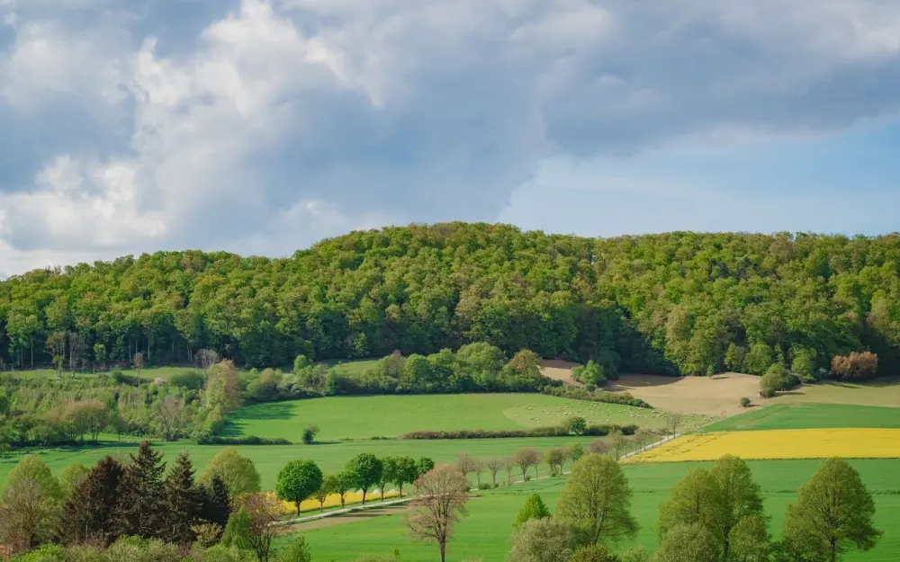 Symbolbild: Idyllic spring landscape with rolling hills and green fields in Lower Saxony, Germany.