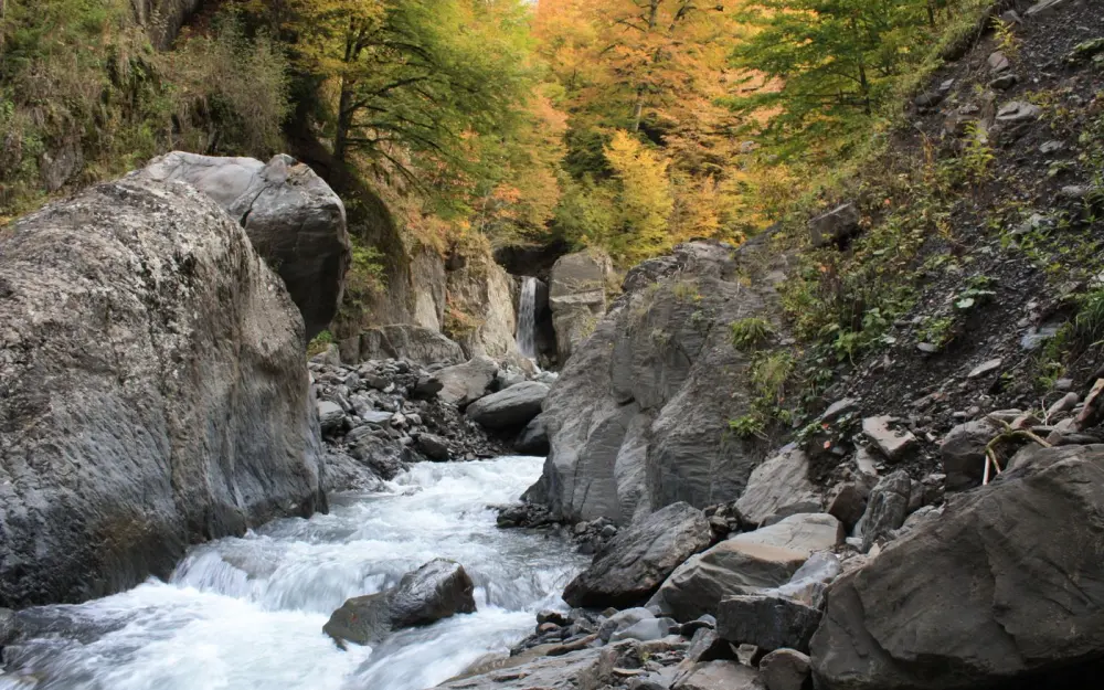 Symbolbild: Flowing river through a rocky mountain gorge with vibrant autumn foliage.
