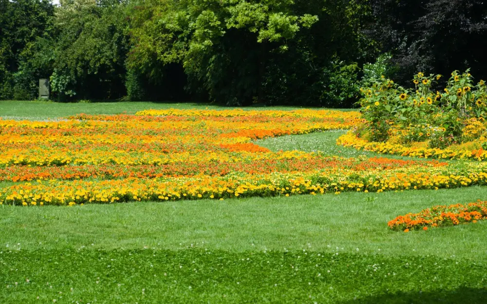 Symbolbild: Bright flower beds in sunny outdoor garden showcasing vibrant blooms.