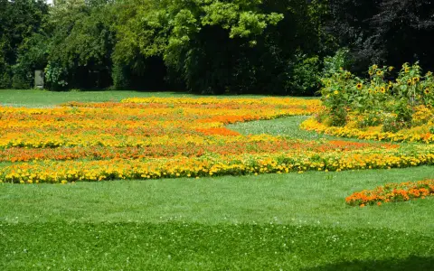 Symbolbild: Bright flower beds in sunny outdoor garden showcasing vibrant blooms.