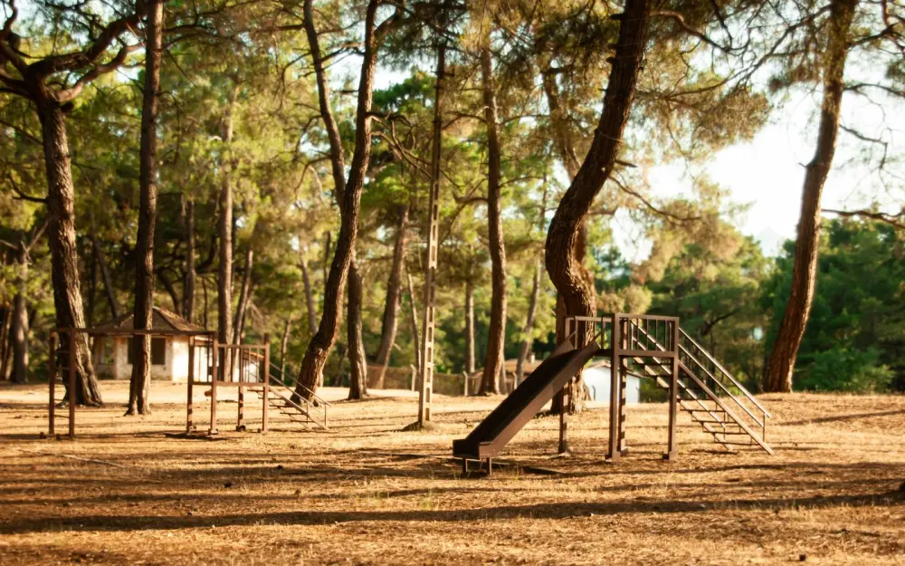 Symbolbild: An empty playground surrounded by tall trees under warm sunlight, creating a peaceful atmosphere.