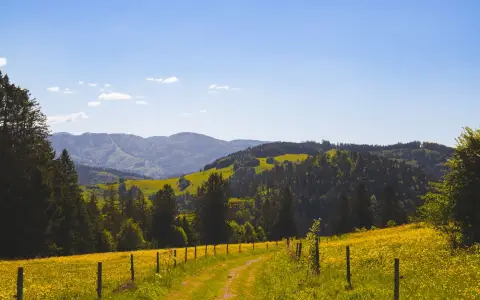 Symbolbild: Breathtaking view of Black Forest hills and meadows under a clear blue sky.