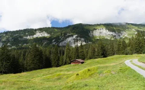 Symbolbild: Tranquil alpine meadow with a cozy cabin and mountain backdrop under a blue sky.