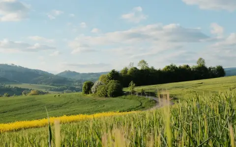 Symbolbild: A picturesque countryside scene featuring lush green fields under a clear blue sky.