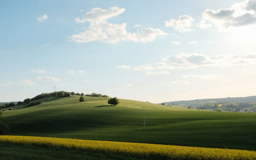 Symbolbild: Scenic view of green rolling hills under a bright blue sky with clouds.