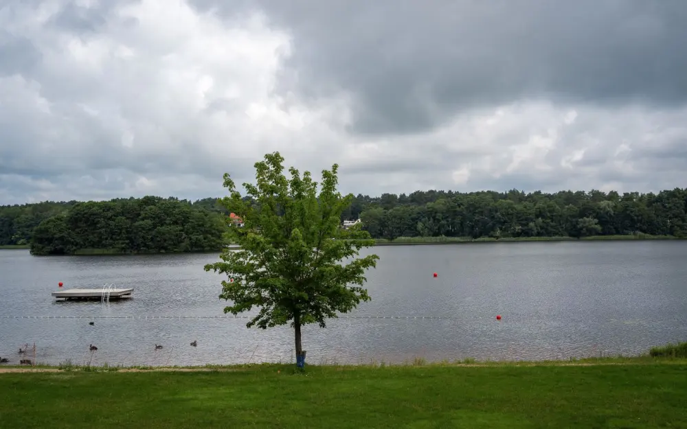 Symbolbild: A serene lakeside view with a tree and dock, perfect for relaxation and nature experiences.
