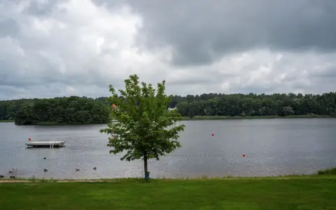 Symbolbild: A serene lakeside view with a tree and dock, perfect for relaxation and nature experiences.