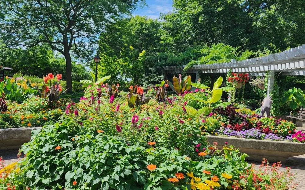 Symbolbild: Lush garden in full bloom at Toronto park with diverse flowers and greenery.