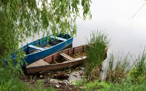 Symbolbild: Two small boats rest by the scenic lakeside under lush greenery, creating a tranquil nature setting.