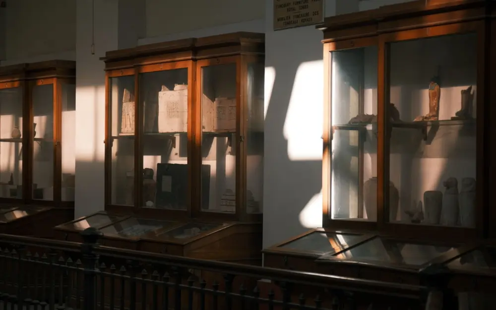 Symbolbild: Antique display cabinets in a museum, illuminated by warm sunlight.