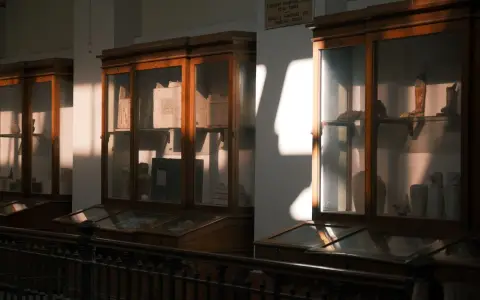 Symbolbild: Antique display cabinets in a museum, illuminated by warm sunlight.