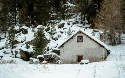 Symbolbild: A cozy cabin nestled in a serene, snow-covered pine forest during winter.