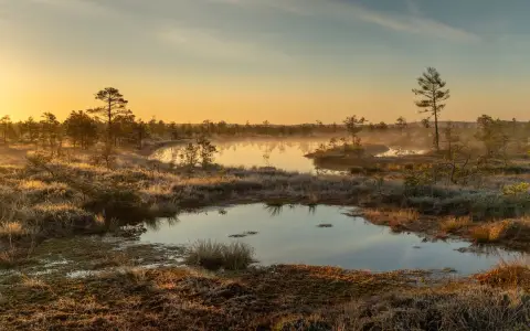 Symbolbild: Capture of a peaceful sunrise over a misty bog with tranquil reflections and natural beauty.