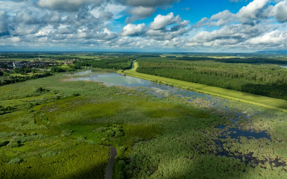 Symbolbild: Beautiful aerial shot of wetlands and lush landscape near Garešnica, Croatia under a cloudy sky.