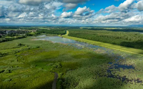 Symbolbild: Beautiful aerial shot of wetlands and lush landscape near Garešnica, Croatia under a cloudy sky.