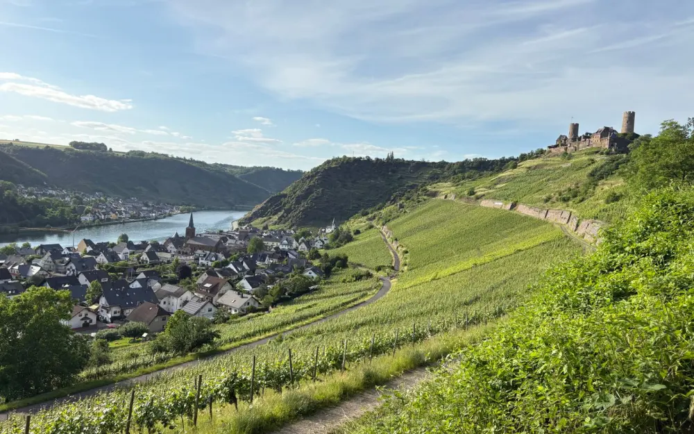 Symbolbild: Capture of Boppard with vineyards and historic castles overlooking the Rhine on a sunny day.