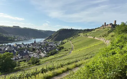 Symbolbild: Capture of Boppard with vineyards and historic castles overlooking the Rhine on a sunny day.