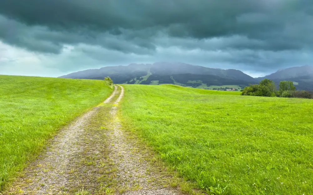 Symbolbild: A tranquil path through lush green fields under a moody sky in Oy-Mittelberg, Germany.