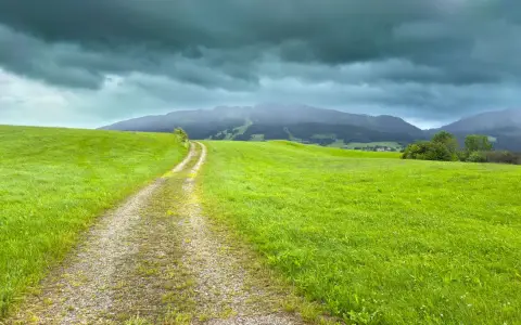 Symbolbild: A tranquil path through lush green fields under a moody sky in Oy-Mittelberg, Germany.