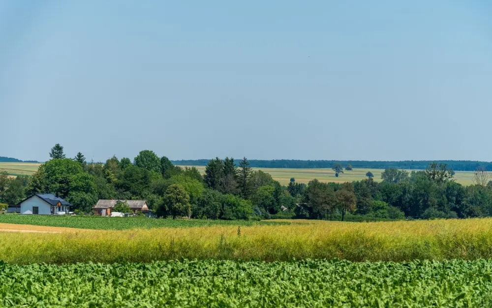 Symbolbild: Beautiful rural landscape in Krzczonów, highlighting lush green fields and farmhouses under a clear sky.