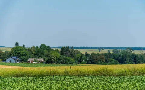 Symbolbild: Beautiful rural landscape in Krzczonów, highlighting lush green fields and farmhouses under a clear sky.