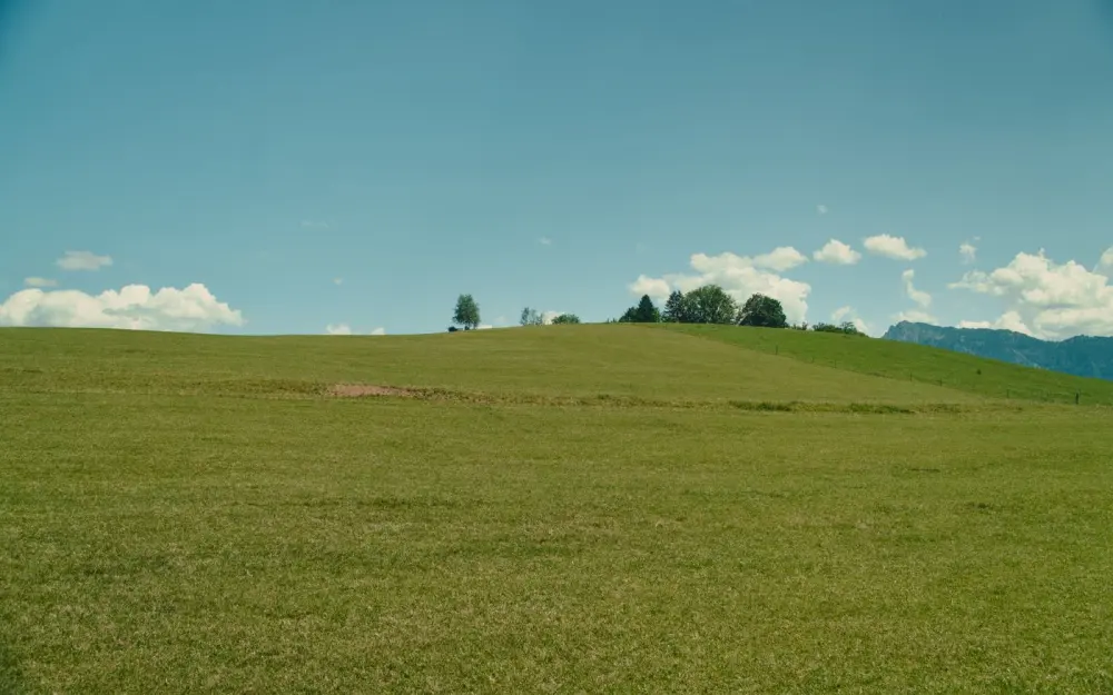 Symbolbild: Lush green fields under a bright sky in Füssen, Bavaria's serene countryside.