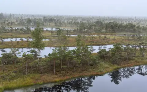 Symbolbild: A misty aerial view of the wetlands in Kemeri National Park, showcasing lush greenery and reflective waters.