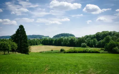 Symbolbild: Lush green fields under a bright blue sky in Zaberfeld, Germany, perfect for nature lovers.