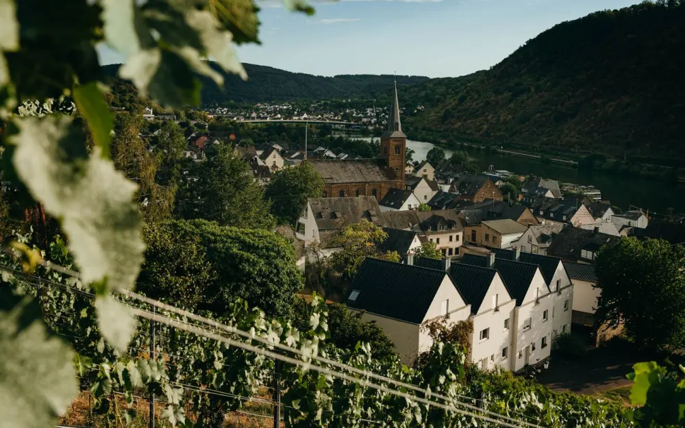 Symbolbild: A picturesque village surrounded by lush vineyards by the river in a serene valley setting.