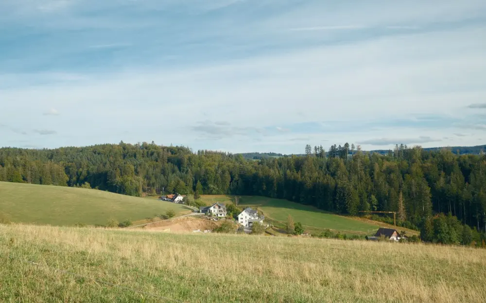 Symbolbild: Tranquil view of rural BW, Germany with hills, forest, and houses in daylight.