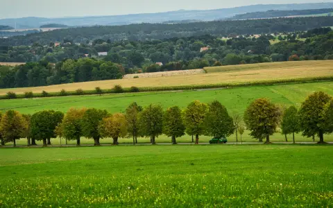 Symbolbild: Lush green landscape in Herrnhut, Saxony, showcasing a serene countryside view.