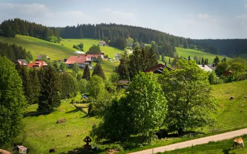 Symbolbild: Serene countryside view with lush green hills, trees, and quaint houses.