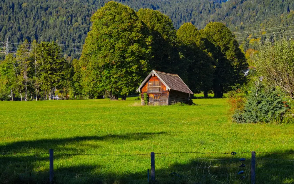 Symbolbild: A serene rustic wooden barn on a lush green meadow surrounded by dense forest in Germany.