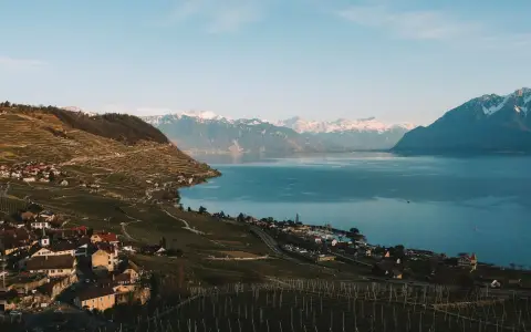 Symbolbild: Captivating landscape of Lavaux vineyards by Lake Geneva with Swiss Alps backdrop.