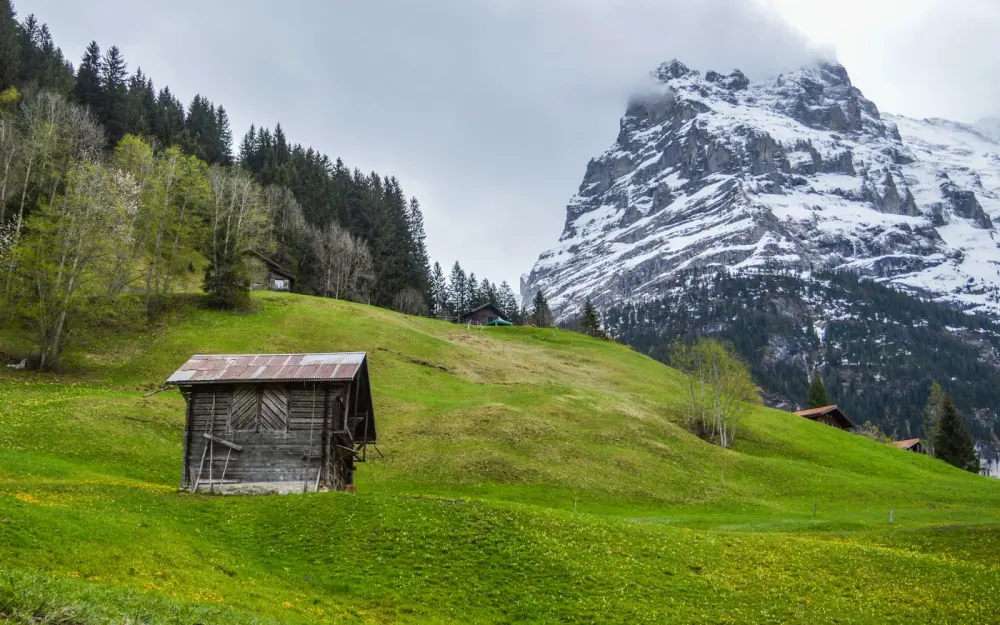Symbolbild: Wooden shabby hut located on green hill with trees near snowy mountain in highlands in countryside against gray sky in nature